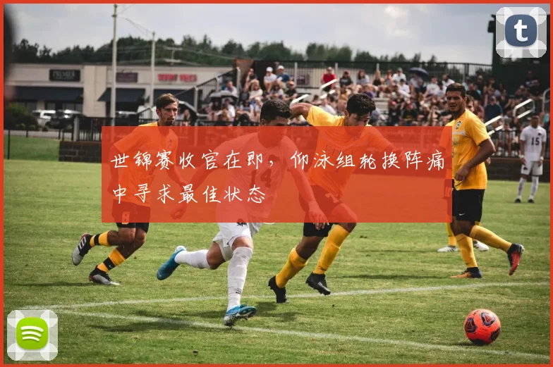 世锦赛收官在即，仰泳组轮换阵痛中寻求最佳状态