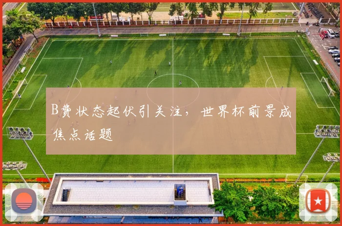 B费状态起伏引关注，世界杯前景成焦点话题