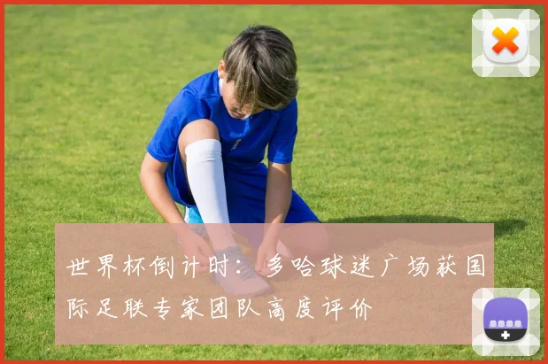 世界杯倒计时：多哈球迷广场获国际足联专家团队高度评价