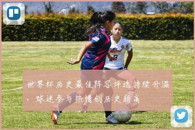 世界杯历史最佳阵容评选持续升温，球迷参与热情创历史新高