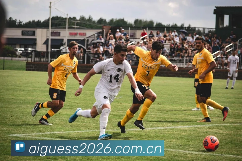 2026世界杯 App界面演示